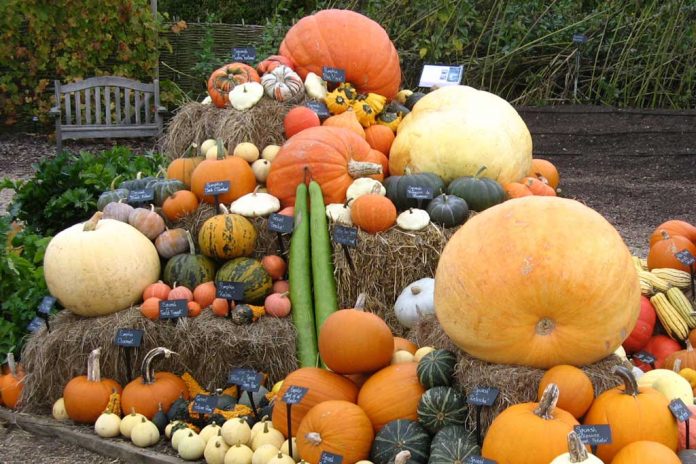 Horticultural Society