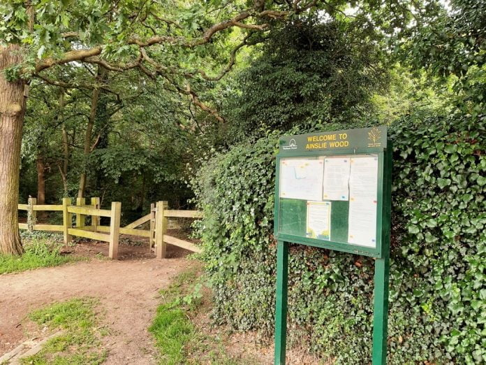 Ainslie Wood