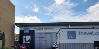 The Vet