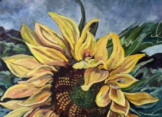 Exhibition at Humphry’s by Gillian Ryan