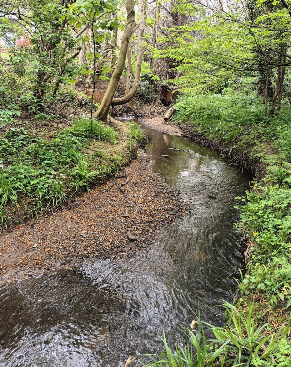 The-Ching-Action-Group