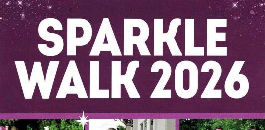 Sparkle Walk with Haven House